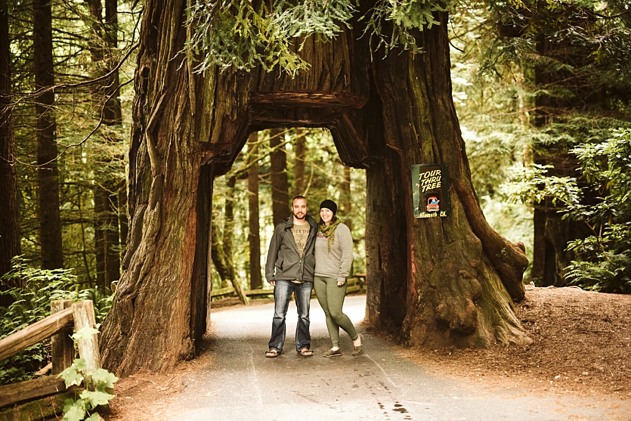 Drive through tree in Redwoods, Camping in Redwoods National Park, Redwoods Travel Guide, Travel Photographer