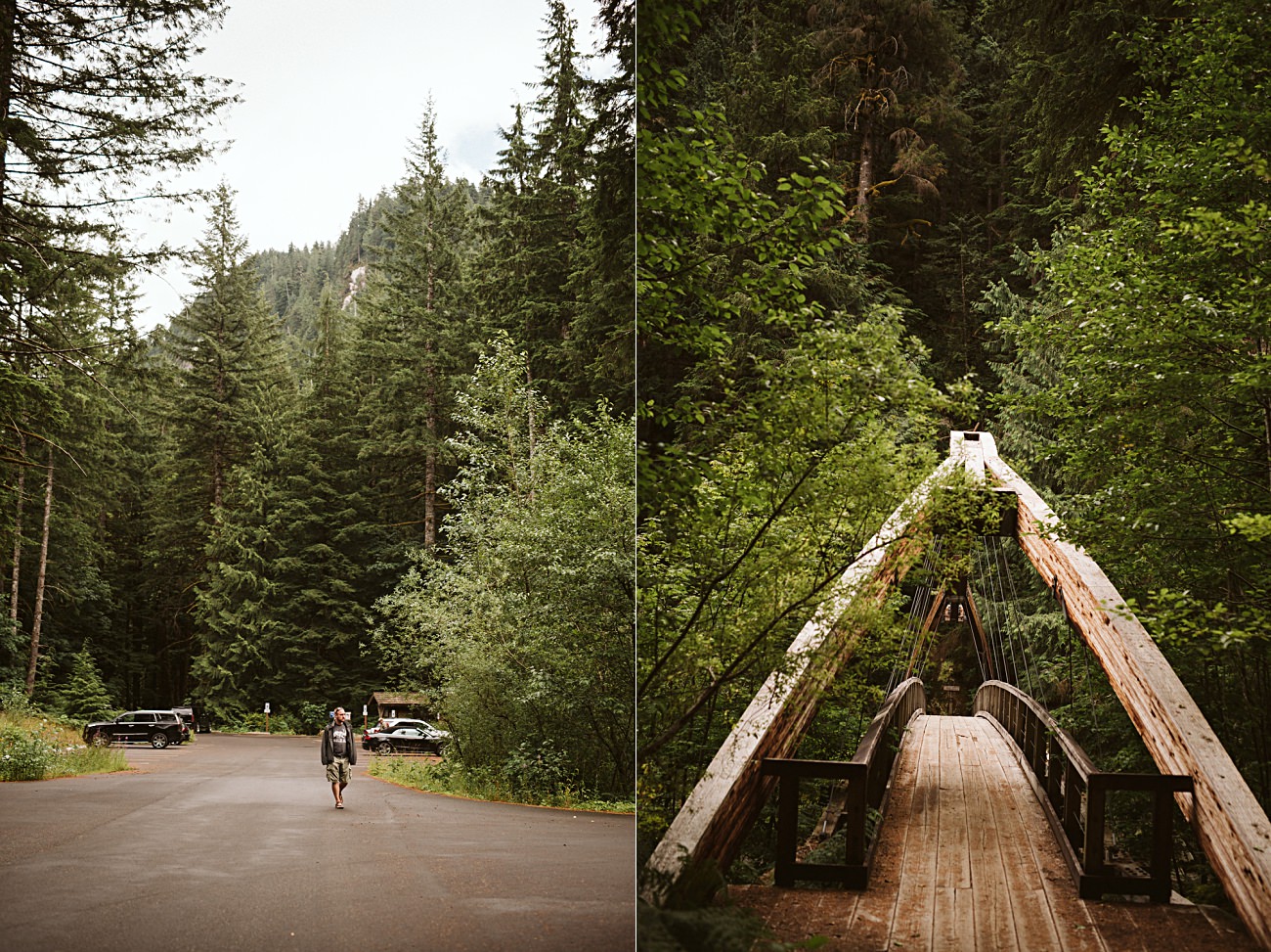 Olympic National Park Print, Travel Guide