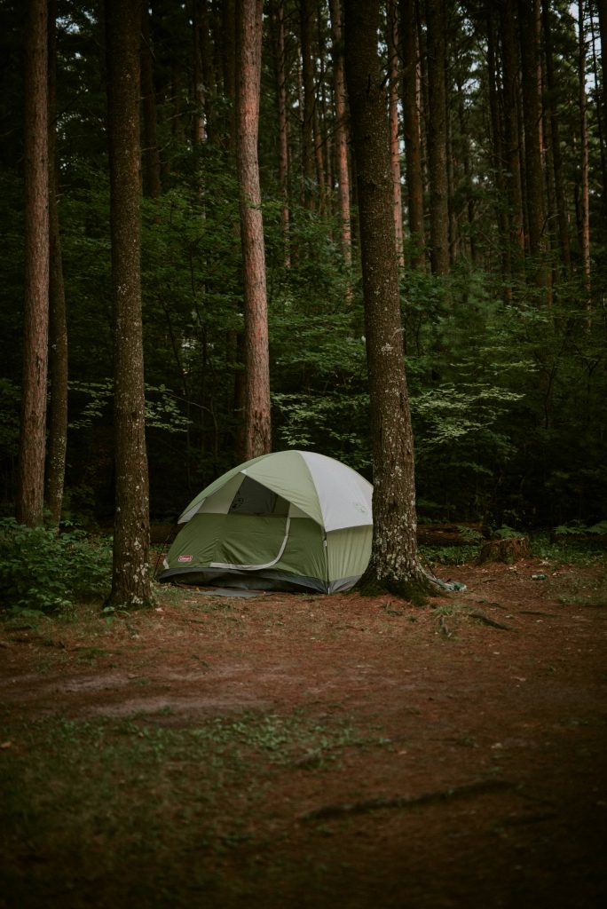 4-Person Sundome® Dome Camping Tent 