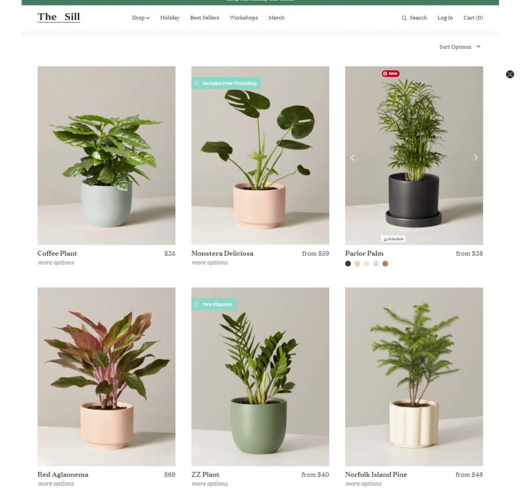 Online shop for gifts for plant lovers